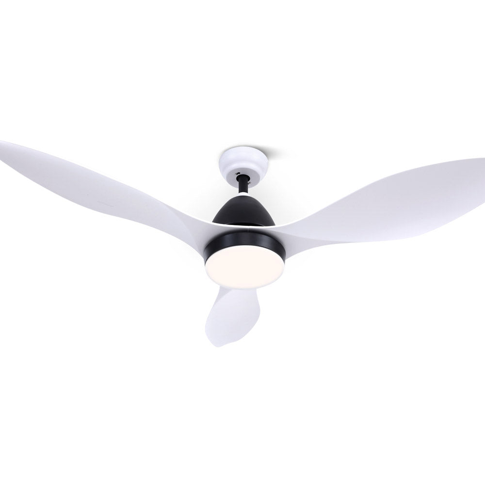 CF-B-48-310-WH-19546-00.jpg