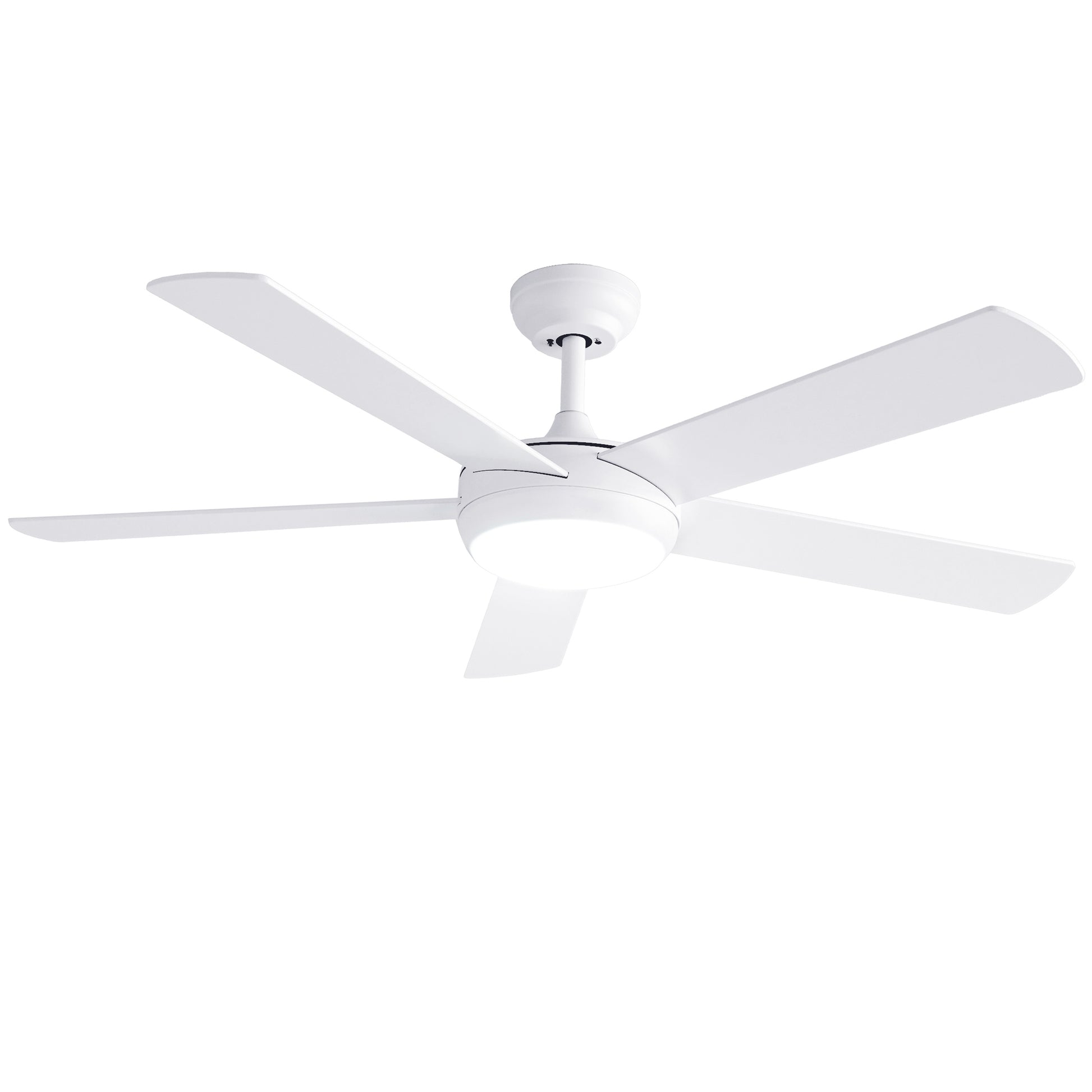 CF-C-52-5B-986-WH-202602021916-08.jpg