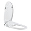Cefito Non Electric Bidet Toilet Seat O-Shape Dual Nozzle Soft Close WaterMark DIY