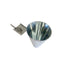 Chicken Kill Cone - Wall Mount Poultry Bird Duck Killing Funnel Restraint