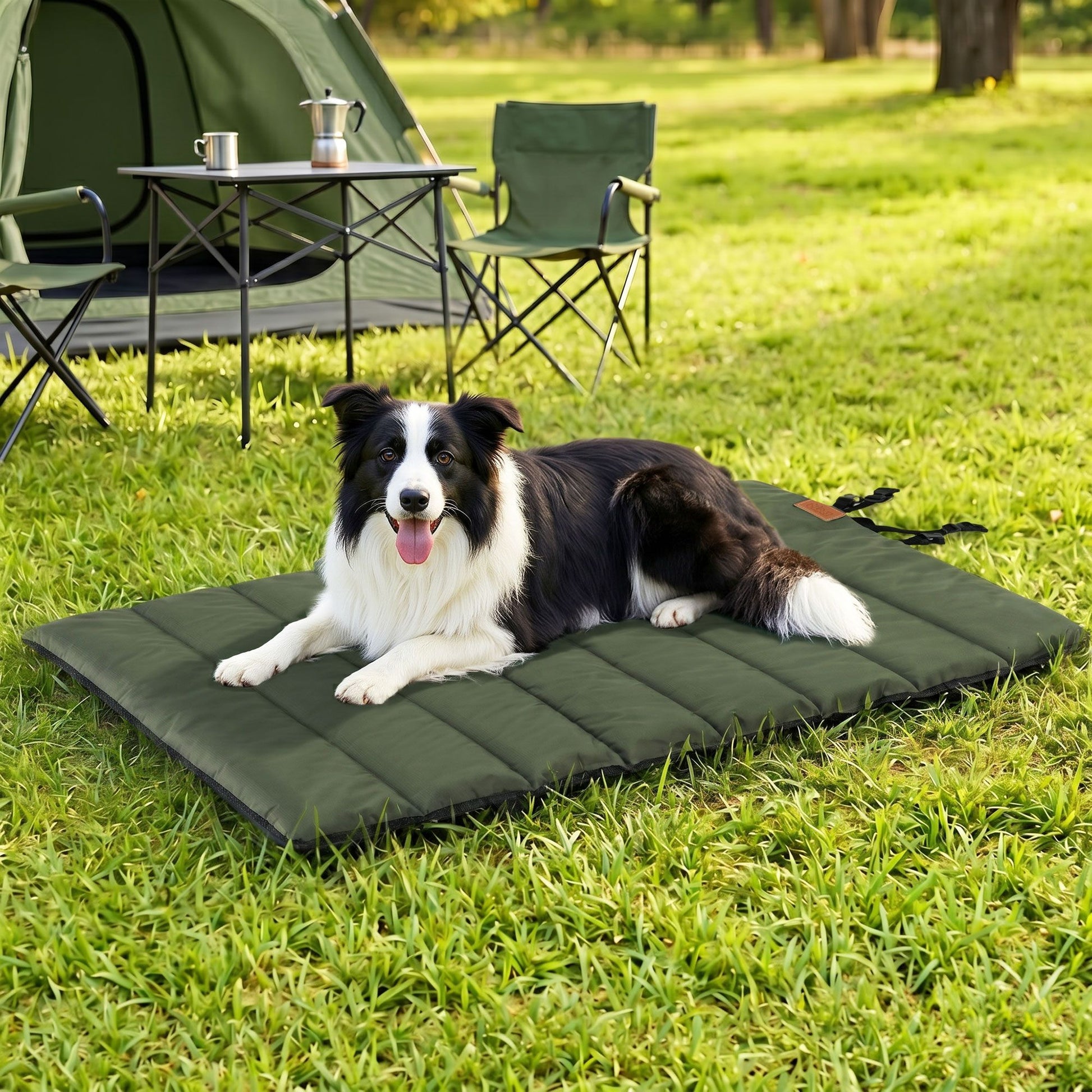 DBED-ROLL-GN-00.jpg
