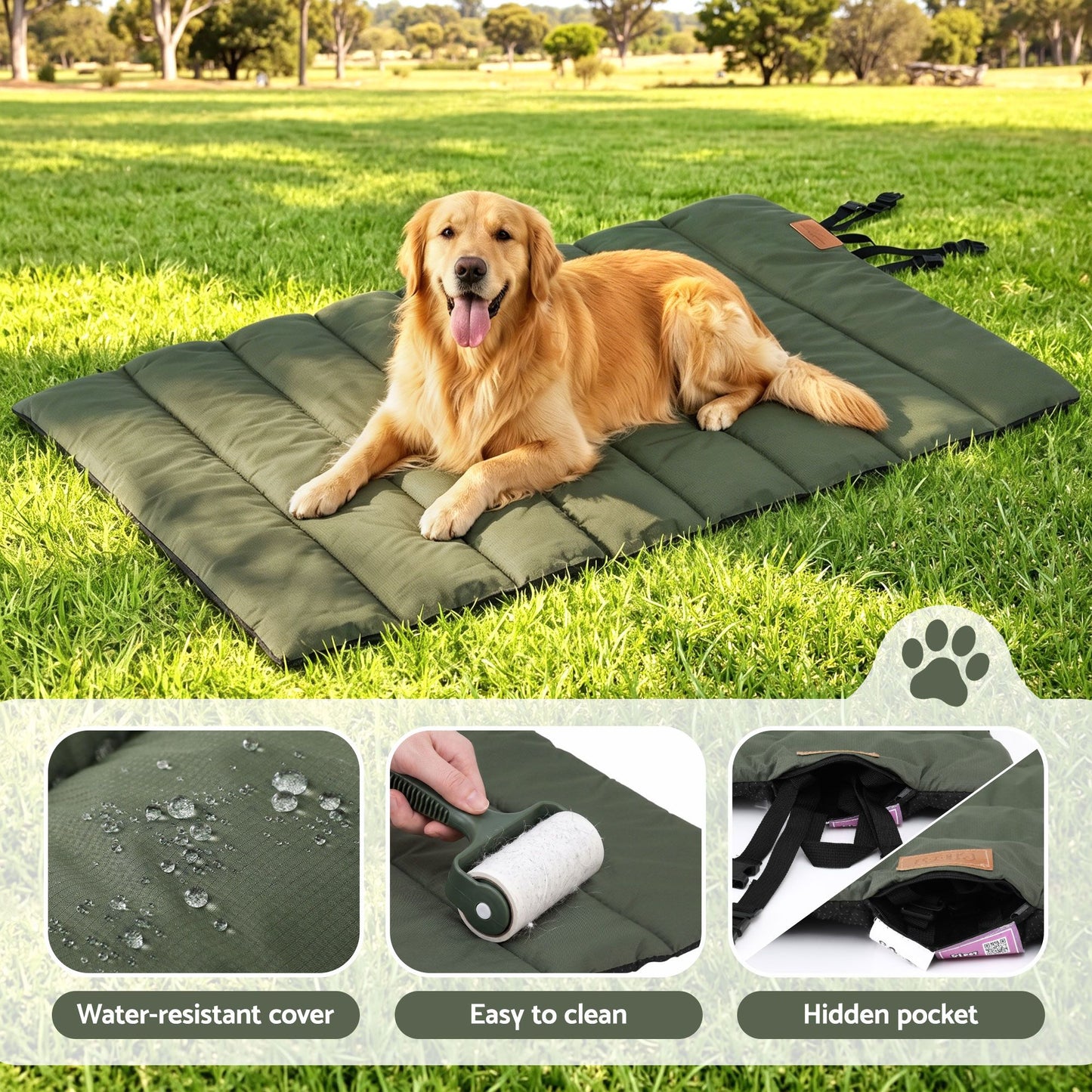 DBED-ROLL-GN-01.jpg