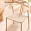 DINC-KJ-RAT-7303-WDX2-06.jpg
