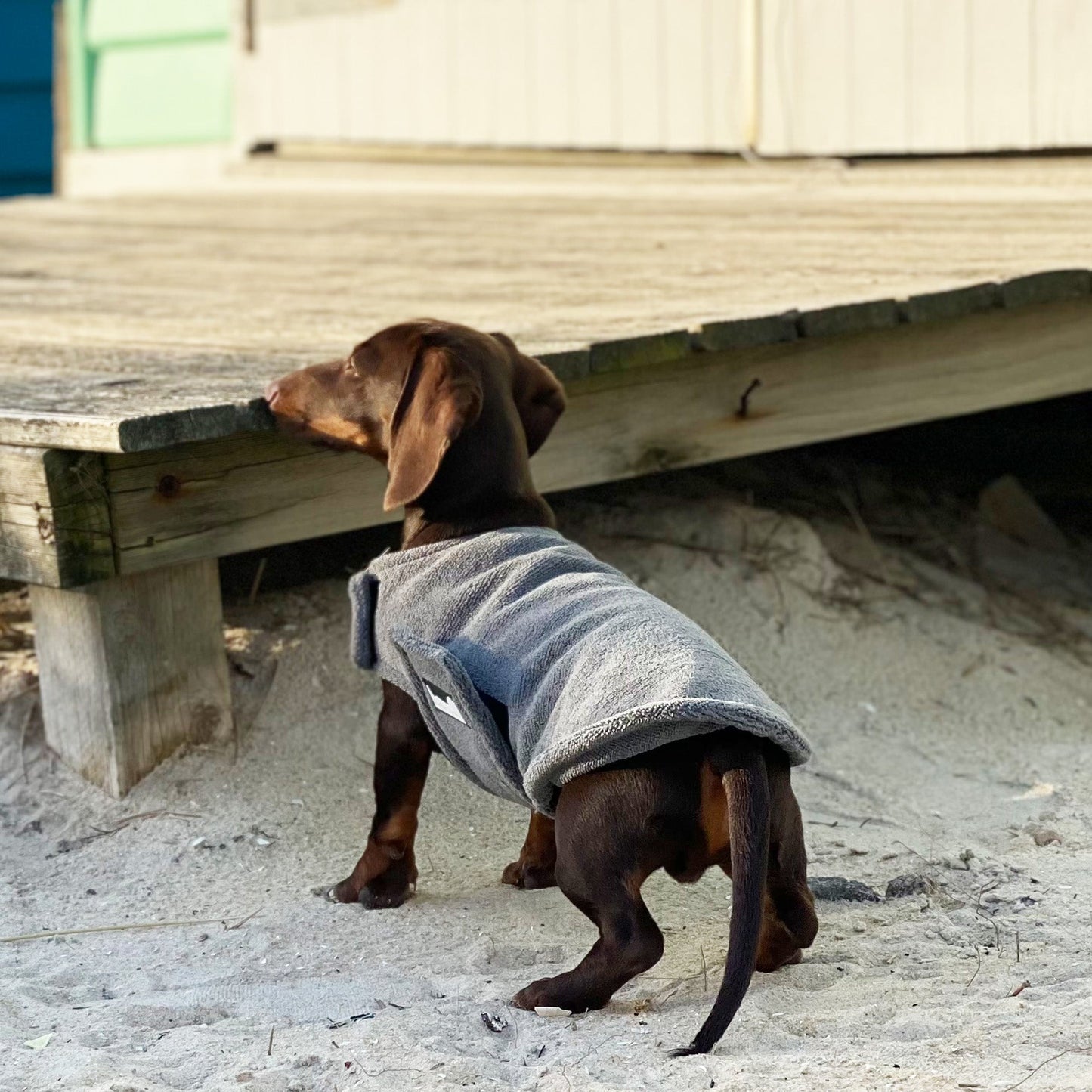 Dachys Jackies - Microfiber Poncho towel & Cooling Jacket
