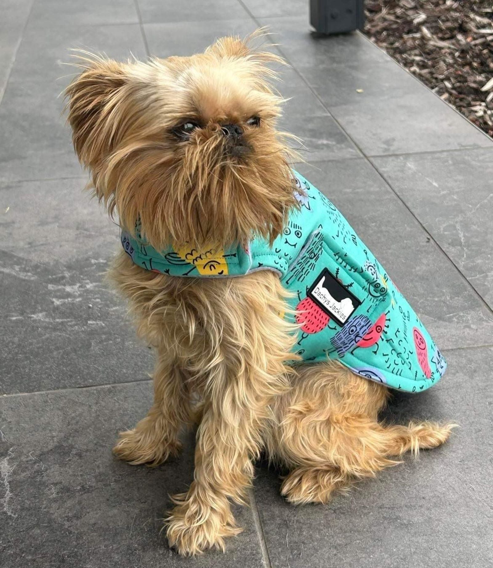 Dachys Jackies - Water resistant Dog jacket - Green monster