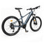 EBIKE-C-275IN-70NM-DG-03.jpg