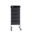 Ellie & Ruby Hairdressing Trolley 5 Drawer Hair Salon Beauty Rolling Cart