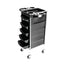 Ellie & Ruby Hairdressing Trolley 5 Drawer Hair Salon Beauty Rolling Cart