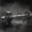 Everfit 78kg Barbell Set Weight Plates Bar Lifting Bench 168cm
