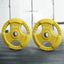 Everfit Weight Plates Olympic 20kgx2 Dumbbell Barbell Plate Weight Lifting Home Gym Yellow
