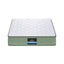 FOAM-C-MFM-LEAF-H025-KS-202507181420-02.jpg