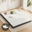 FOAM-MFM-RAFA-BAM-Q-00.jpg