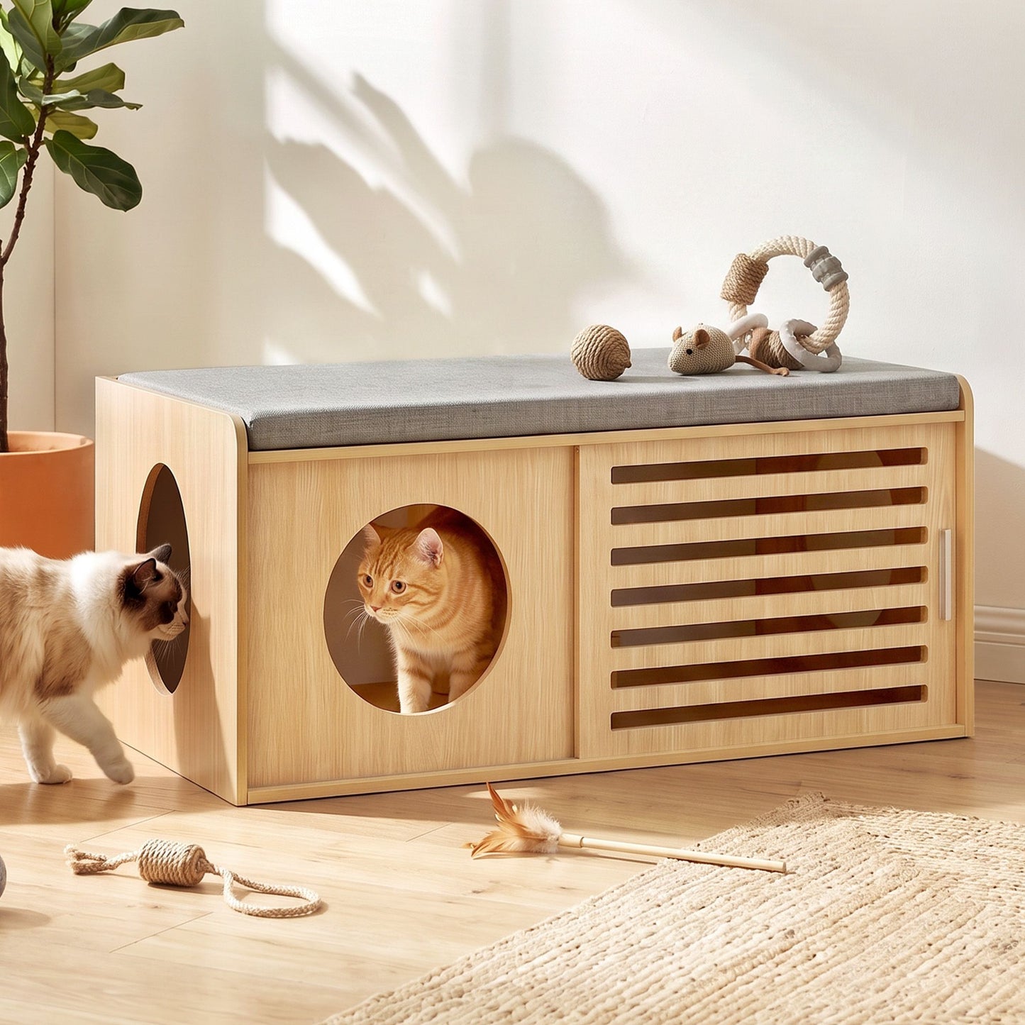 FUR-AC-OTM-PET-WD-00.jpg