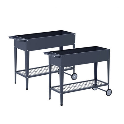 GARDEN-AG-PLAT-ROLLX2-202504171501-00.jpg
