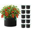 GB-BAG-15GAL-10PC-09.jpg