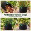 GB-BAG-20GAL-10PC-06.jpg
