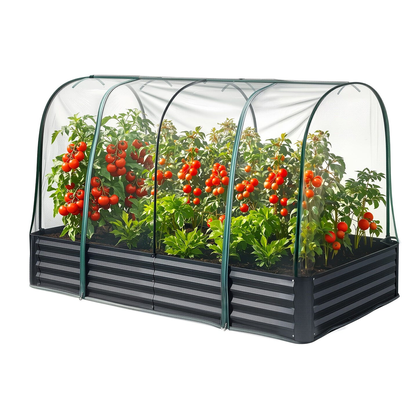 GB-REC-GH-180-BK-00.jpg