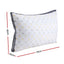 Giselle 2pcs Pillows Microfibre