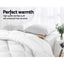 Giselle Bedding 700GSM Microfibre Bamboo Quilt Super King