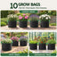 GB-BAG-15GAL-10PC-08.jpg