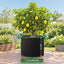 GB-BAG-20GAL-10PC-01.jpg