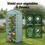 Green Fingers Greenhouse 4 Tiers Mini Green House Garden Bed 1.6x0.7x0.5M
