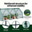 Green Fingers Mini Greenhouse 240x90x90cm Steel Frame PE Cover Outdoor Shelter