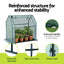Green Fingers Mini Greenhouse 91x46x84cm Steel Frame PE Cover Outdoor Shelter