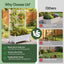 Green Fingers Mobile Planter Box with Trellis, Self Watering Garden Bed & Privacy Screen for Climbing Plants Flowers, White