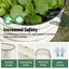 Green Fingers Raised Garden Bed 2 Pack Galvanised Planter Box Rust Resistant 120x60x30cm White
