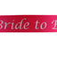 Hens Night Party Bridal Sash Bride Bridesmaid Maid Of Honour Groom Mother Sashes