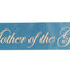 Hens Party Sash Sashes Bride Night Party Bridal Wedding Bridesmaid Bachelorette