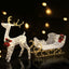 Jingle Jollys Christmas Lights Reindeer Sleigh215 LED Decorations