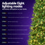 Jingle Jollys Christmas Tree 2.4m Xmas Tree Decorations 1488 LEDs