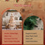 Jingle Jollys Prelit Christmas Tree Decorations 114CM Foldable Quick Setup White
