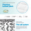 MATTRESS-0754-PT-Q-202601071806-05.jpg