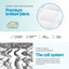 MATTRESS-0754-PT-S-202601071806-05.jpg