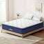 MATTRESS-8602-D137-202512041448-00.jpg