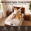 MATTRESS-B-HAVEN-25-KS-05.jpg