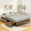 MBED-C-OSLO-Q-DRAW-202603261606-00.jpg
