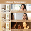 Embellir Bluetooth Makeup Mirror 80x58cm Hollywood Vanity with LED Light Crystal