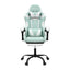 Artiss Ergonomic Gaming Office Chair with 2 Point Message Mint Green