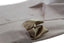 Mens Champagne Pocket Square