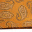 Mens Orange & Brown Paisley Silk Pocket Square