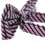 Mens Pink Striped Patterned Cotton Bow Tie