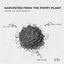 Orku 100g Poppy Seeds Unwashed Papaver Somniferum For Baking and Decorating