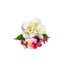Orku 65x 200g Plant Oil Soap Sweet Pea Jasmine Natural Vegetable Bar