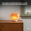 Orku Fire Bowl Himalayan Pink Salt Lamp - Carved Salt Rocks Night Light