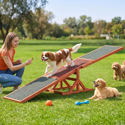 PET-AGILITY-180-BR-00.jpg