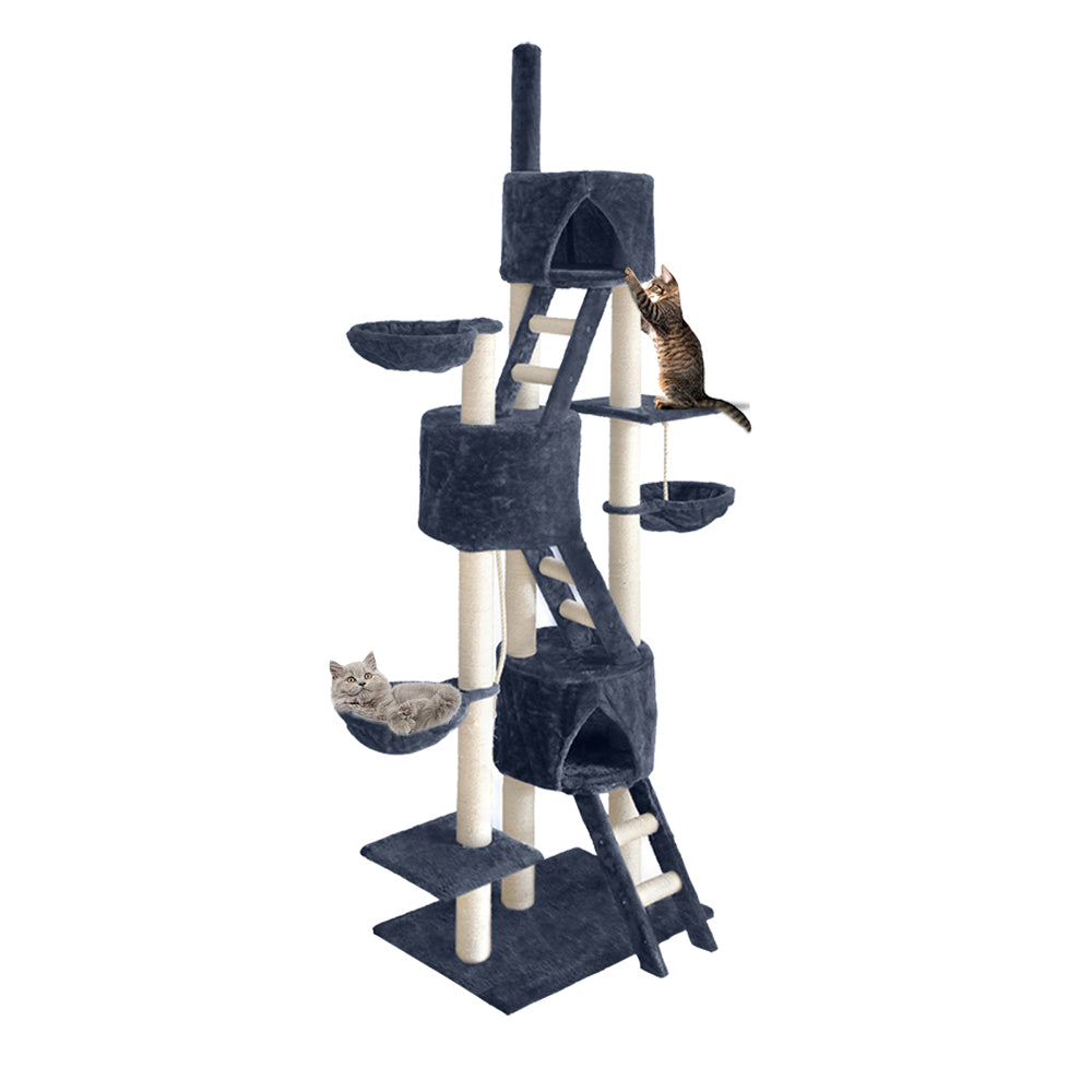 PET-CAT-HSCT015-GR-4986-00.jpg